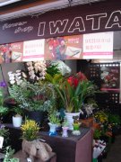 「イワタ花店」　（東京都足立区）の花屋店舗写真2